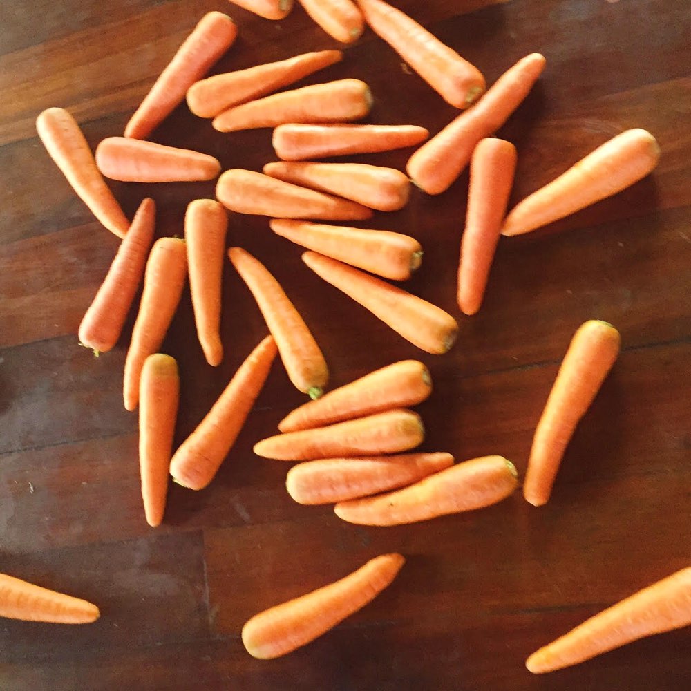 carrots-1000px